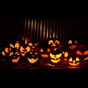 Meet your Posher, Pat